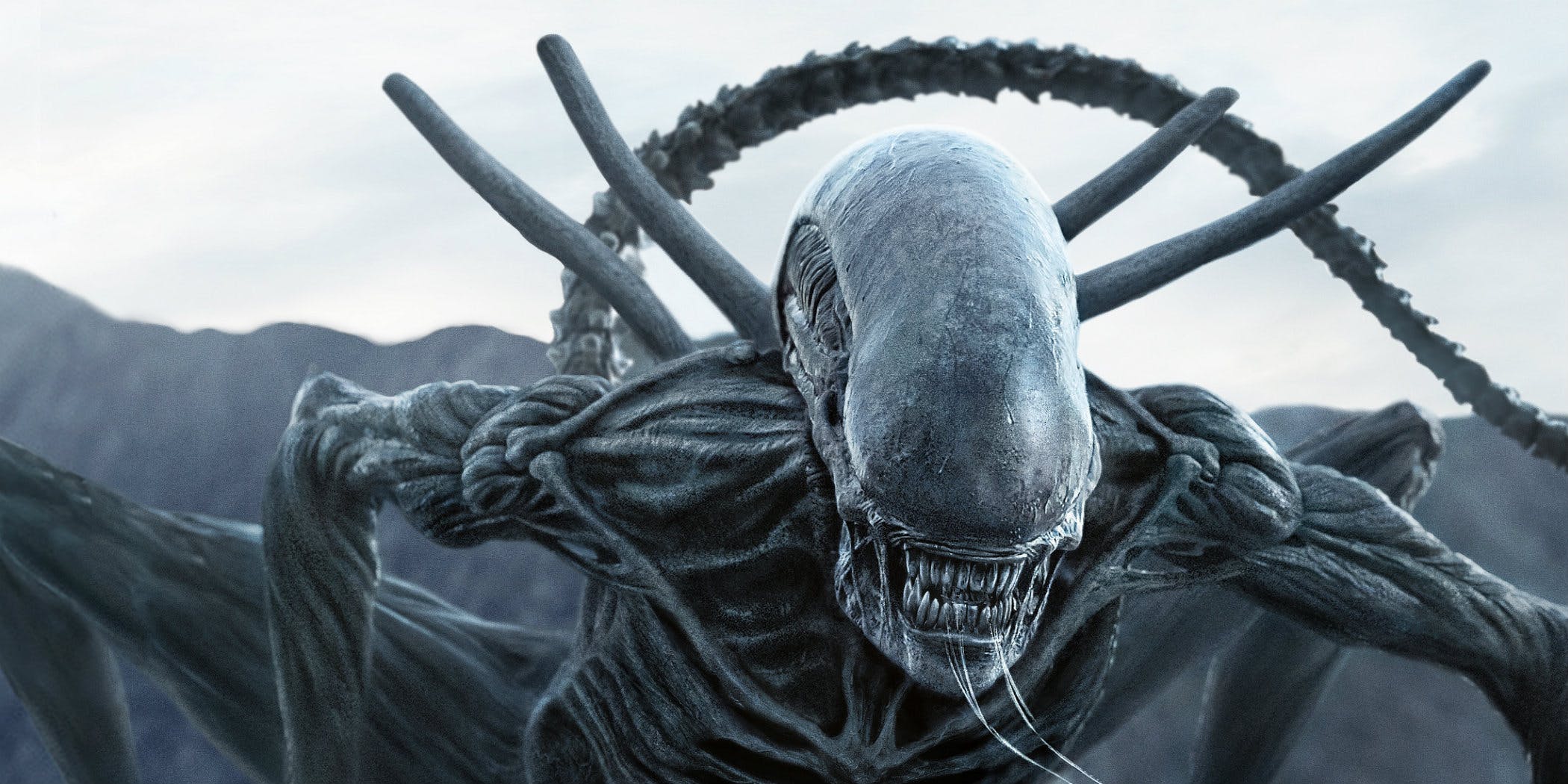 nouvel alien par Fede Alvarez et Ridley Scott